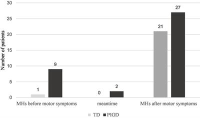 Clinical features of minor hallucinations in different phenotypes of Parkinson’s disease: A cross-sectional study